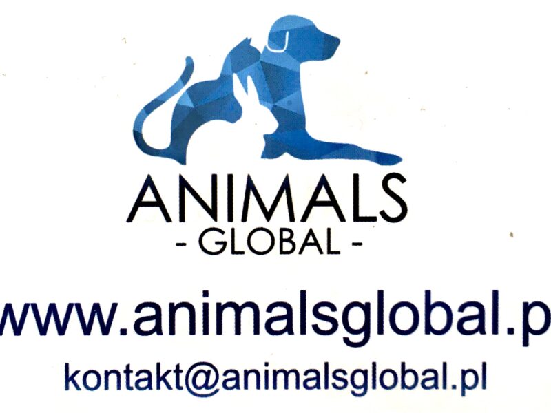 Animals Global